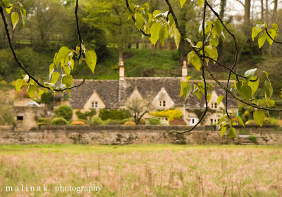 Cotswolds