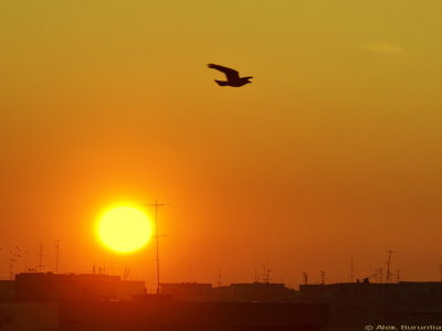 My first Sunset in 2014, part two