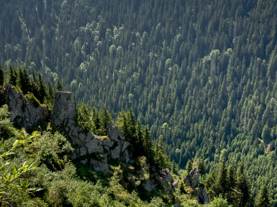 Transfagarasan