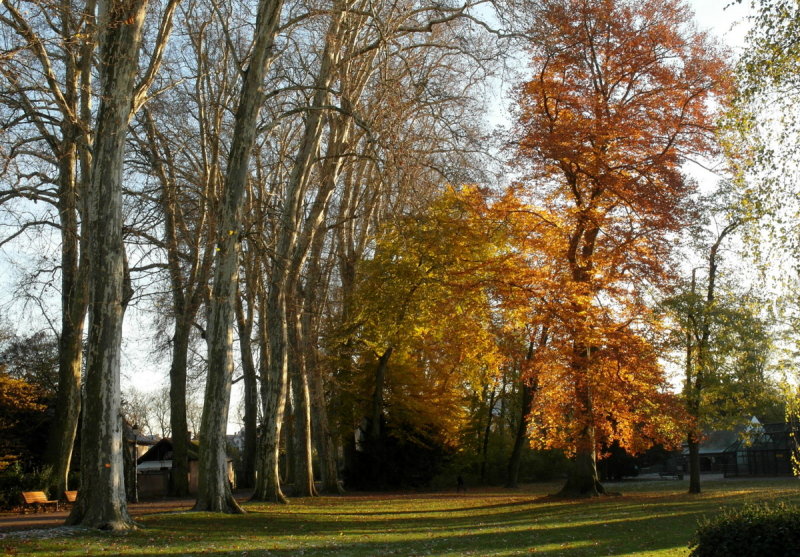 le parc de lorangerie