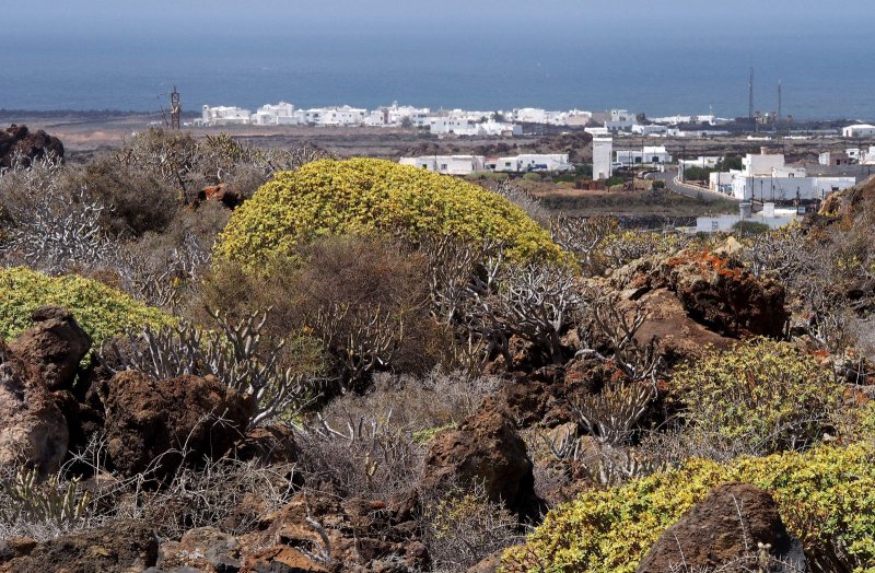 paisaje de Lanzarote