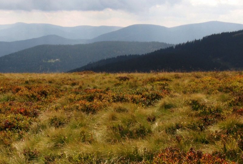 the blue line of Vosges mountains