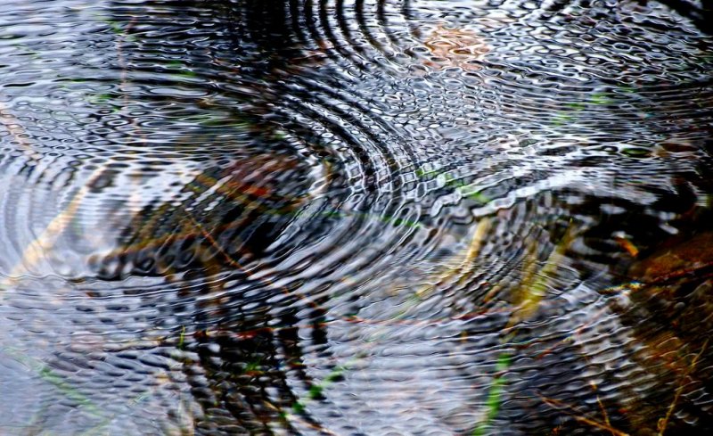 des ronds dans l'eau # 2