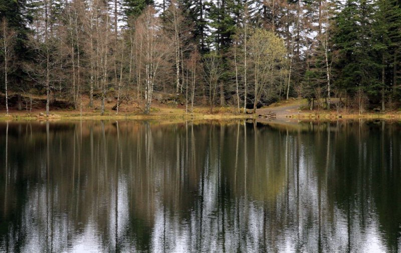 le lac au printemps