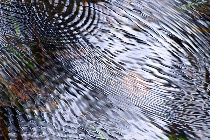 ripples in the water