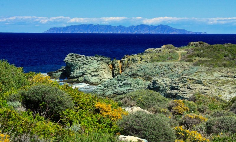 Capraia isola at the horizon