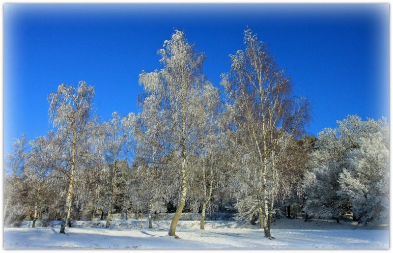 mont Ste Odile