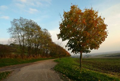 le Kochersberg en automne