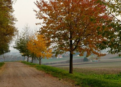 le Kochersberg en automne #2