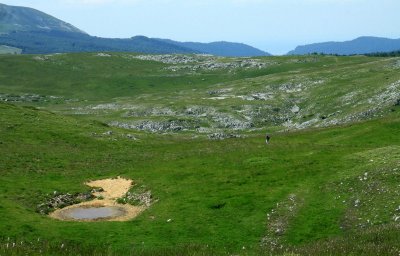 g9/48/614948/3/160938400.XsGLzJJE.jpg