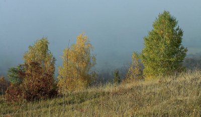 le Bastberg en automne
