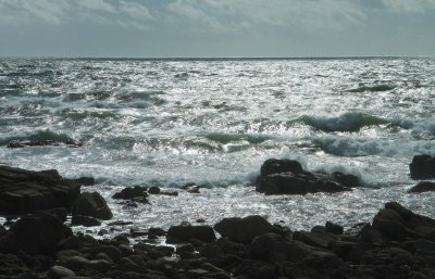 the wild sea