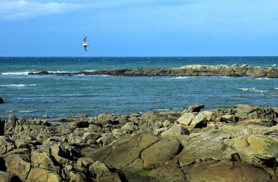 la pointe du Croisic