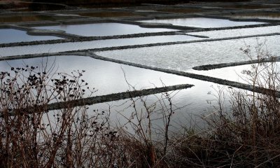 g9/48/614948/3/164842843.y9TSbUU7.jpg