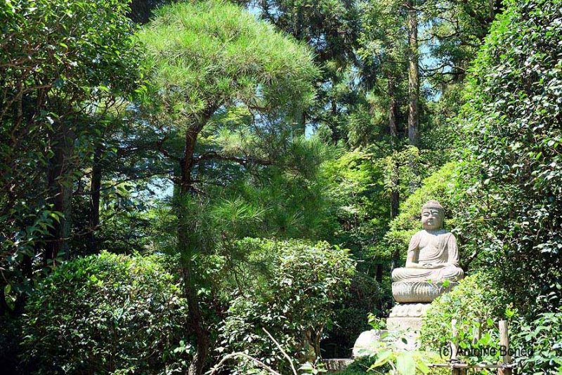 Ryoan-ji Temple, Kyoto - 0348