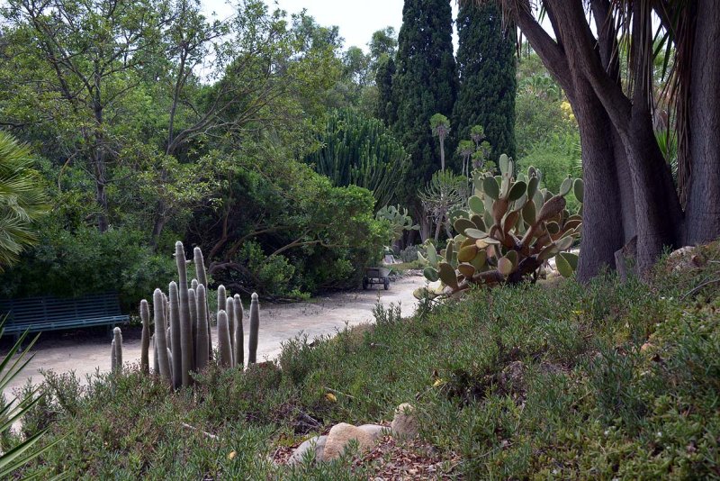 Orto Botanico di Cagliari - Sardinia - 3967