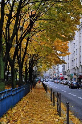 rue Cambronne - 9207