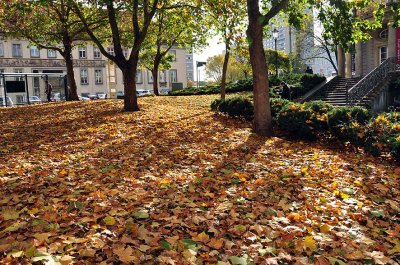 Autumn in Berlin - 7833