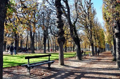Autumn in Luxembourg gardens - 8609