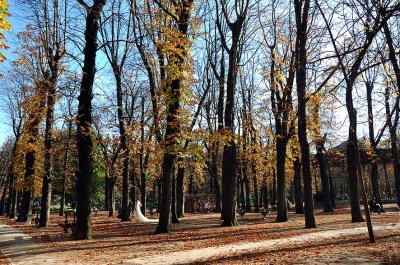 Autumn in Luxembourg gardens - 8615