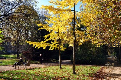 Autumn in Luxembourg gardens - 8654