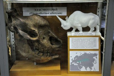 Zoological Museum, St Petersburg - 9981