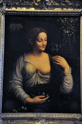 Francesco Melzi (1491-1570) - Flora - 0546