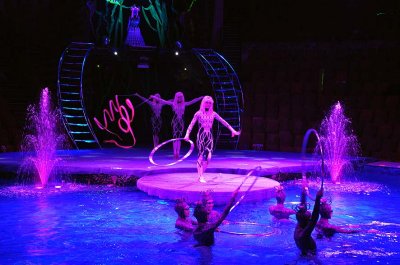 Circus on water show, Bolshoi St Petersburg State Circus - 1044