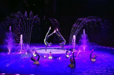 Circus on water show, Bolshoi St Petersburg State Circus - 1063