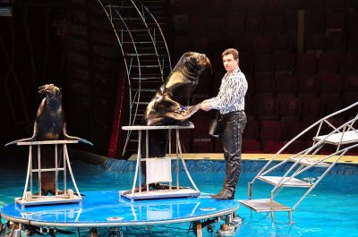 Circus on water show, Bolshoi St Petersburg State Circus - 1139
