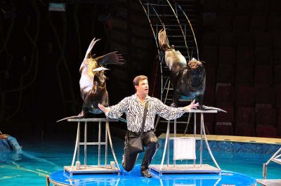 Circus on water show, Bolshoi St Petersburg State Circus - 1152