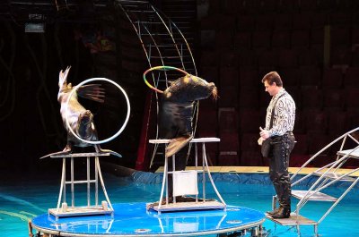 Circus on water show, Bolshoi St Petersburg State Circus - 1153