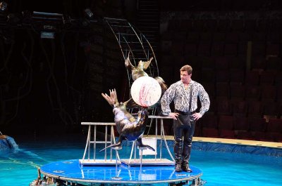 Circus on water show, Bolshoi St Petersburg State Circus - 1179