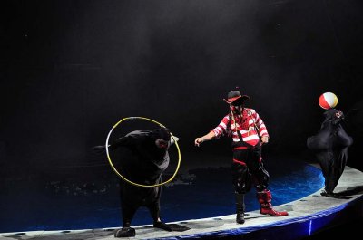 Circus on water show, Bolshoi St Petersburg State Circus - 1188