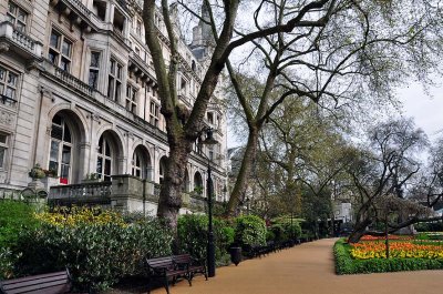 Whitehall Gardens - 3182