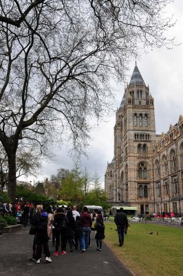 Natural History Museum, London - 3432