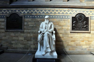 Darwin - Natural History Museum - London - 3469