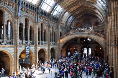 Hintze Hall, Natural History Museum, London - 3470