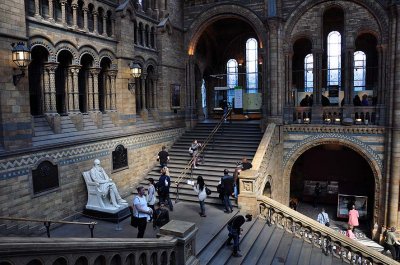 Natural History Museum, London - 3473