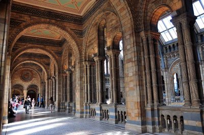 Natural History Museum, London - 3475