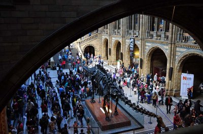 Hintze Hall - Natural History Museum, London - 3481