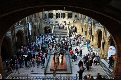 Hintze Hall - Natural History Museum, London - 3483