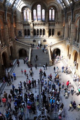 Hintze Hall, Natural History Museum, London - 3507