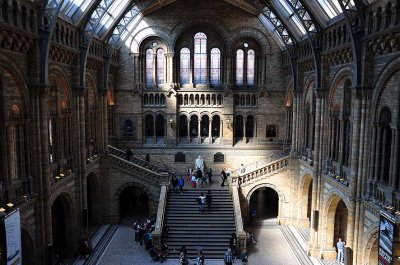 Natural History Museum, London - 3508