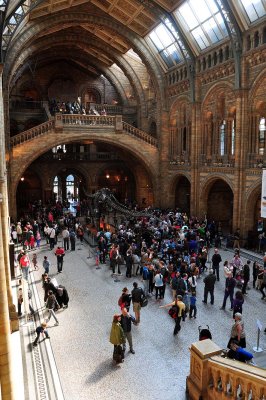 Hintze Hall, Natural History Museum, London - 3515