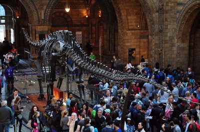 Hintze Hall, Natural History Museum, London - 3517