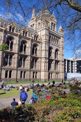 Natural History Museum, London - 3548