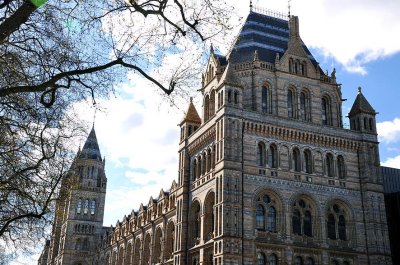 Natural History Museum, London - 3557