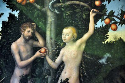 Lucas Cranach the Elder - Adam and Eve (1526), detail - 3329