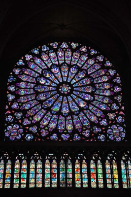 Notre-Dame de Paris - 5497